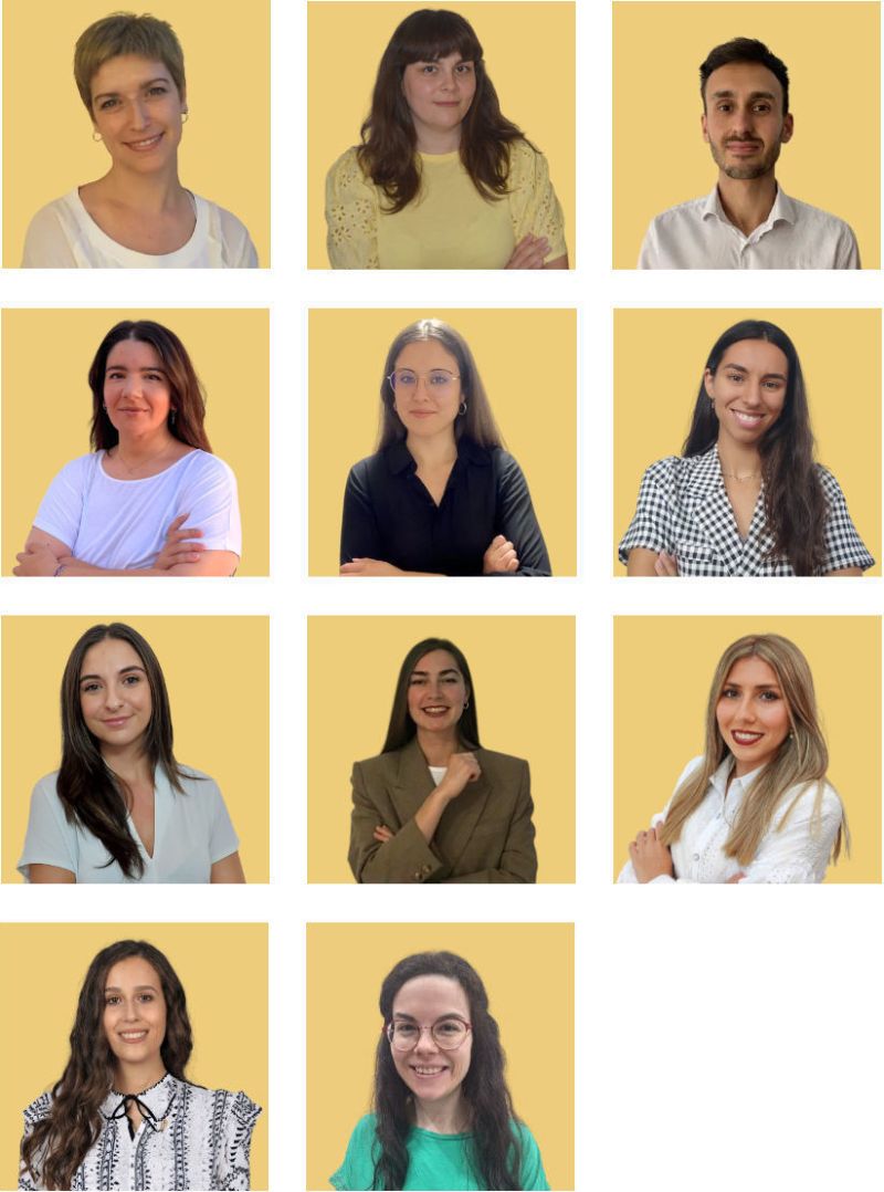 Equipo de psicólogos online de Psicoglobal